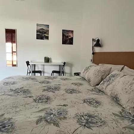 Rudis * بومبيي
